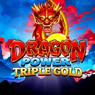 Dragon Power Triple Gold